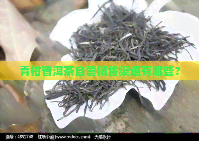 青柑普洱茶自营销售渠道有哪些？