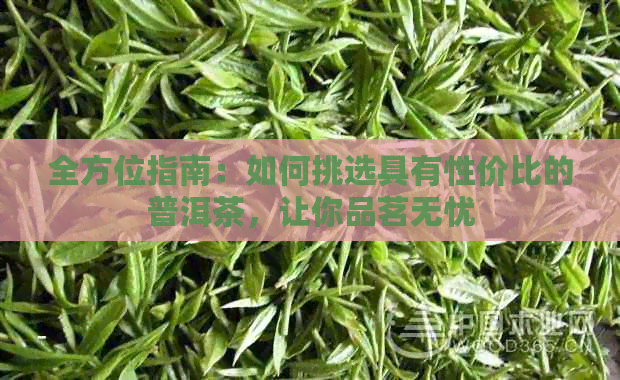 全方位指南：如何挑选具有性价比的普洱茶，让你品茗无忧