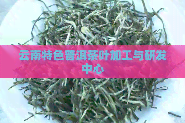 云南特色普洱茶叶加工与研发中心