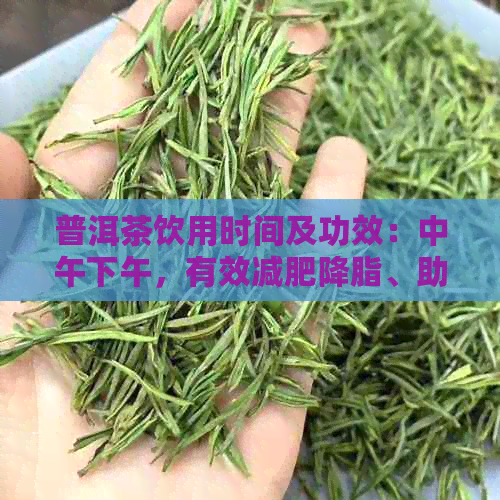 普洱茶饮用时间及功效：中午下午，有效减肥降脂、助消化。