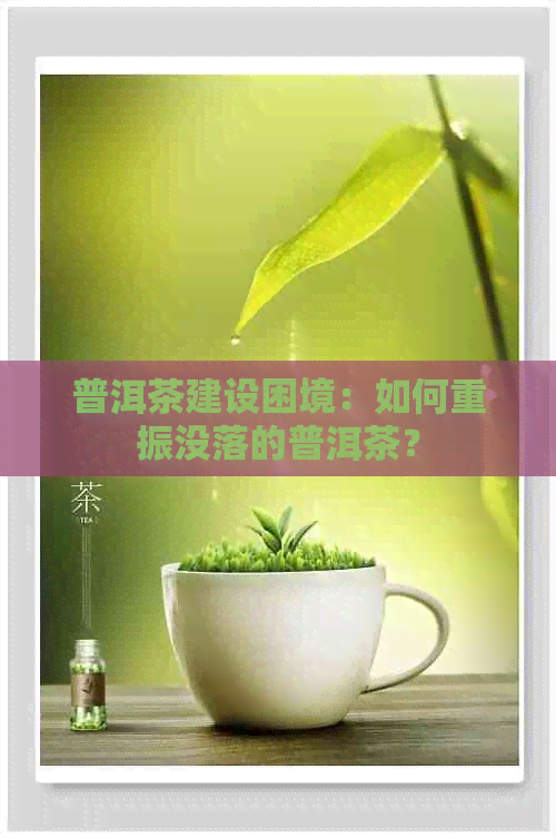 普洱茶建设困境：如何重振没落的普洱茶？