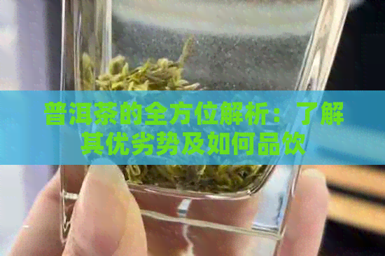 普洱茶的全方位解析：了解其优劣势及如何品饮