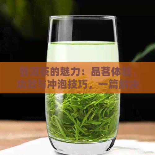 普洱茶的魅力：品茗体验、功效与冲泡技巧，一篇解决您所有疑问的文章