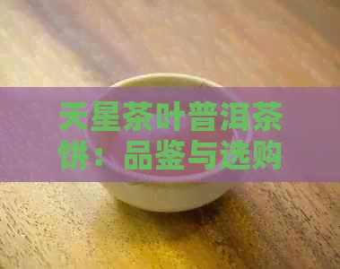 天星茶叶普洱茶饼：品鉴与选购指南，了解口感、功效与保存方法