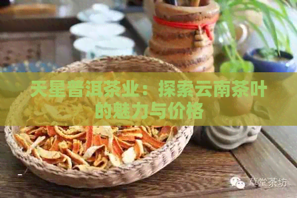 天星普洱茶业：探索云南茶叶的魅力与价格