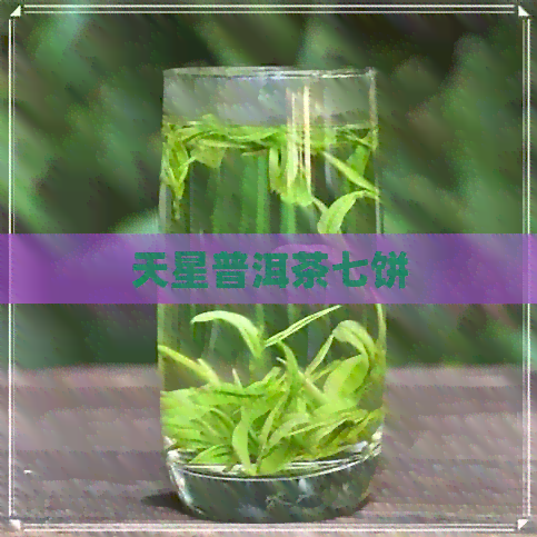 天星普洱茶七饼