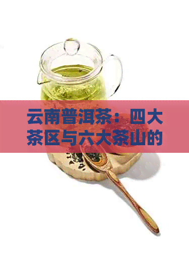 云南普洱茶：四大茶区与六大茶山的全面解析，带你深入了解普洱茶的世界