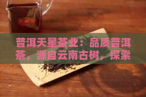 普洱天星茶业：品质普洱茶，源自云南古树，探索茶文化与健价值