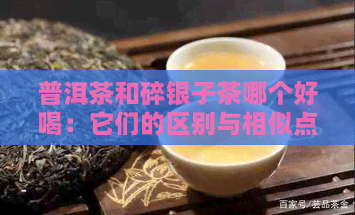 普洱茶和碎银子茶哪个好喝：它们的区别与相似点