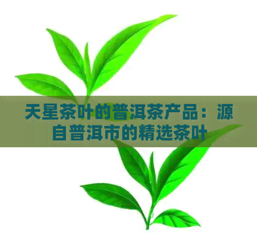 天星茶叶的普洱茶产品：源自普洱市的精选茶叶