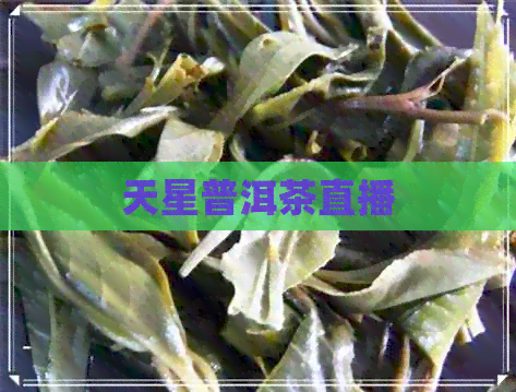 天星普洱茶直播