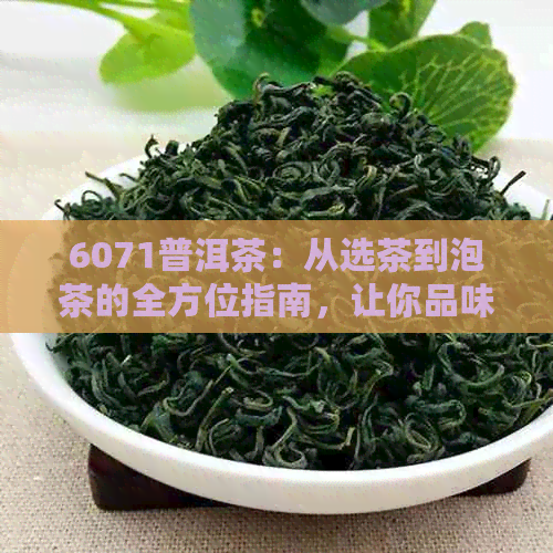 6071普洱茶：从选茶到泡茶的全方位指南，让你品味普洱茶的无穷魅力