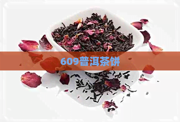 609普洱茶饼