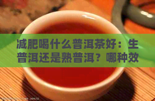 减肥喝什么普洱茶好：生普洱还是熟普洱？哪种效果？