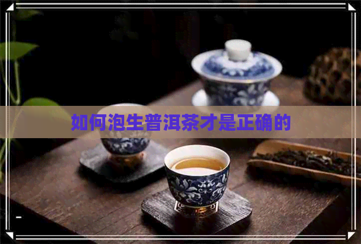 如何泡生普洱茶才是正确的