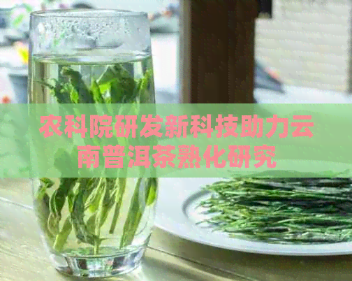 农科院研发新科技助力云南普洱茶熟化研究