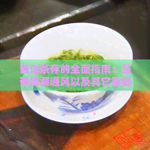 普洱茶存的全面指南：是否需要通风以及其它重要考虑因素