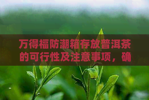 万得福防潮箱存放普洱茶的可行性及注意事项，确保茶叶品质和保效果