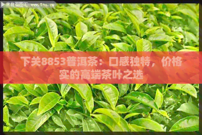 下关8853普洱茶：口感独特，价格实的高端茶叶之选