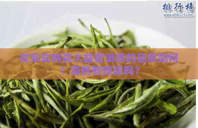 在京东购买大益普洱茶的品质如何？真的有保障吗？