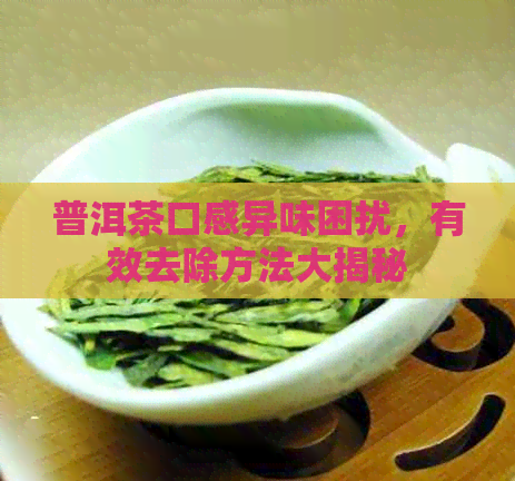 普洱茶口感异味困扰，有效去除方法大揭秘