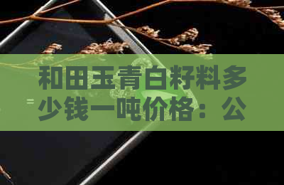 和田玉青白籽料多少钱一吨价格：公斤售价解析