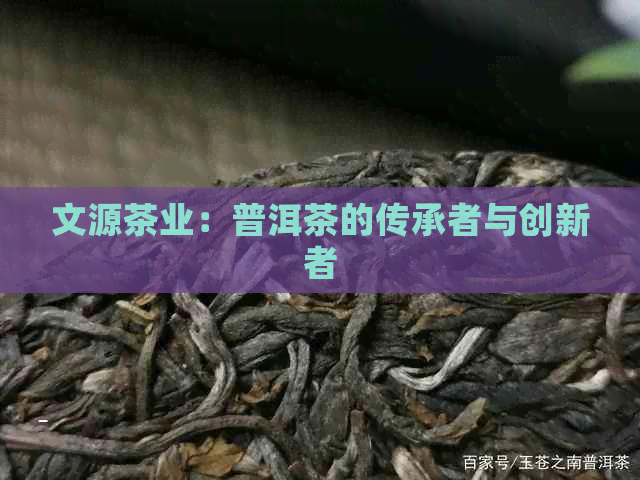 文源茶业：普洱茶的传承者与创新者