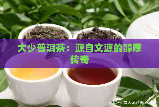 大少普洱茶：源自文源的醇厚传奇