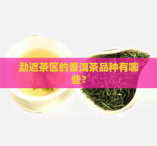 勐遮茶区的普洱茶品种有哪些？