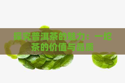 探究普洱茶的魅力：一坨茶的价值与品质