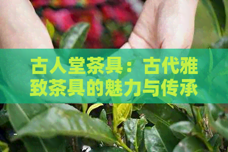 古人堂茶具：古代雅致茶具的魅力与传承