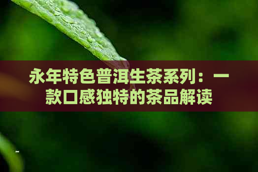 永年特色普洱生茶系列：一款口感独特的茶品解读