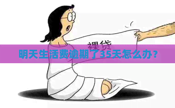 明天生活费逾期了35天怎么办？