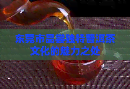 东莞市品尝独特普洱茶文化的魅力之处