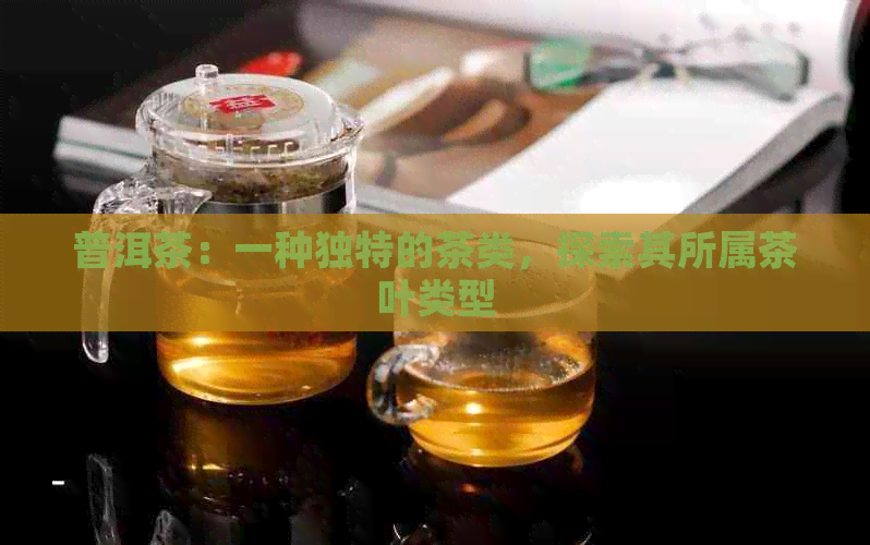 普洱茶：一种独特的茶类，探索其所属茶叶类型