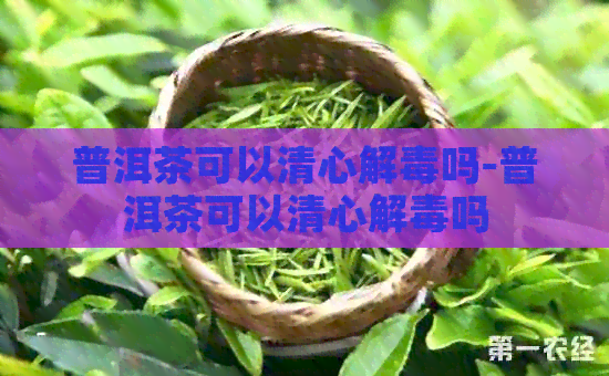 普洱茶可以清心解吗-普洱茶可以清心解吗