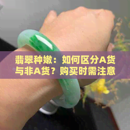 翡翠种嫩：如何区分A货与非A货？购买时需注意哪些方面？