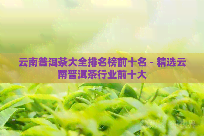 云南普洱茶大全排名榜前十名 - 精选云南普洱茶行业前十大