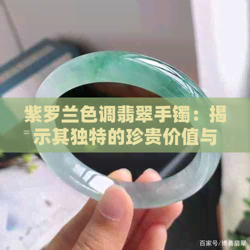 紫罗兰色调翡翠手镯：揭示其独特的珍贵价值与市场价格