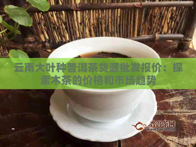 云南大叶种普洱茶货源批发报价：探索木茶的价格和市场趋势