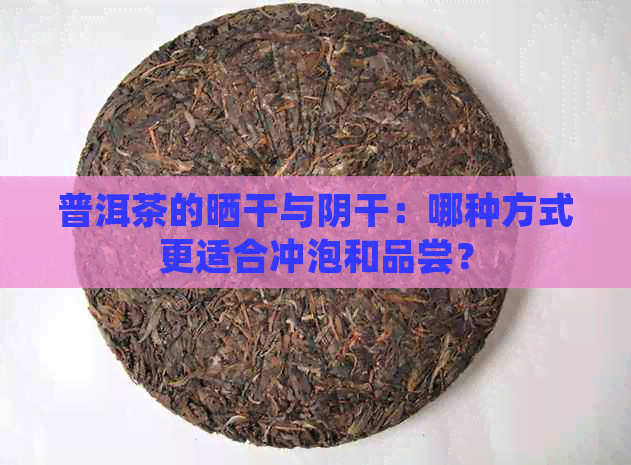 普洱茶的晒干与阴干：哪种方式更适合冲泡和品尝？