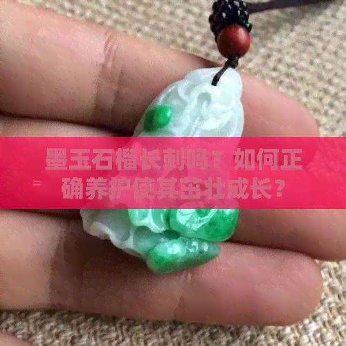 墨玉石榴长刺吗？如何正确养护使其茁壮成长？