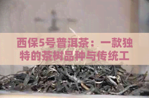 西保5号普洱茶：一款独特的茶树品种与传统工艺完美融合的美味佳饮