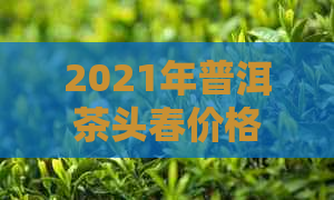 2021年普洱茶头春价格表