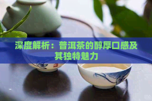 深度解析：普洱茶的醇厚口感及其独特魅力