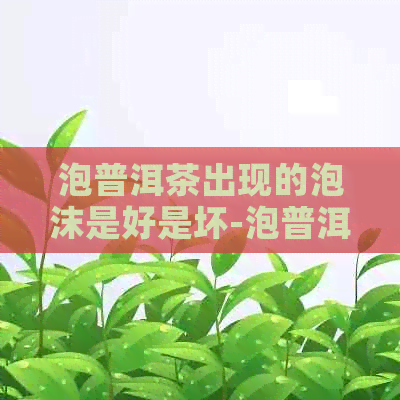 泡普洱茶出现的泡沫是好是坏-泡普洱茶出现的泡沫是好是坏?