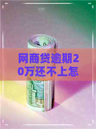 网商贷逾期20万还不上怎么办