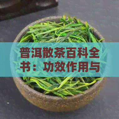 普洱散茶百科全书：功效作用与详细介绍