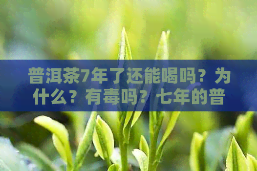 普洱茶7年了还能喝吗？为什么？有吗？七年的普洱茶能喝吗？