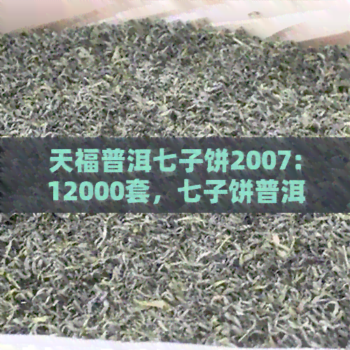 天福普洱七子饼2007:12000套，七子饼普洱茶价格与天福茗茶七子饼普洱茶详情